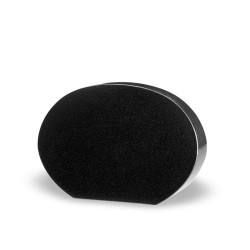 PMO - MASSIVE OVAL PLATE  - Sansone Collection