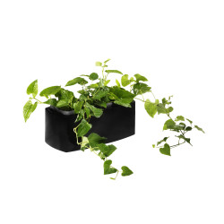 JM03-33  - PETITE JARDINIÈRE MASSIVE