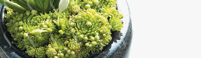 Granite bowls suitable for all monuments - Sansone Collection